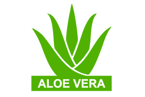 aloe-vera.jpg